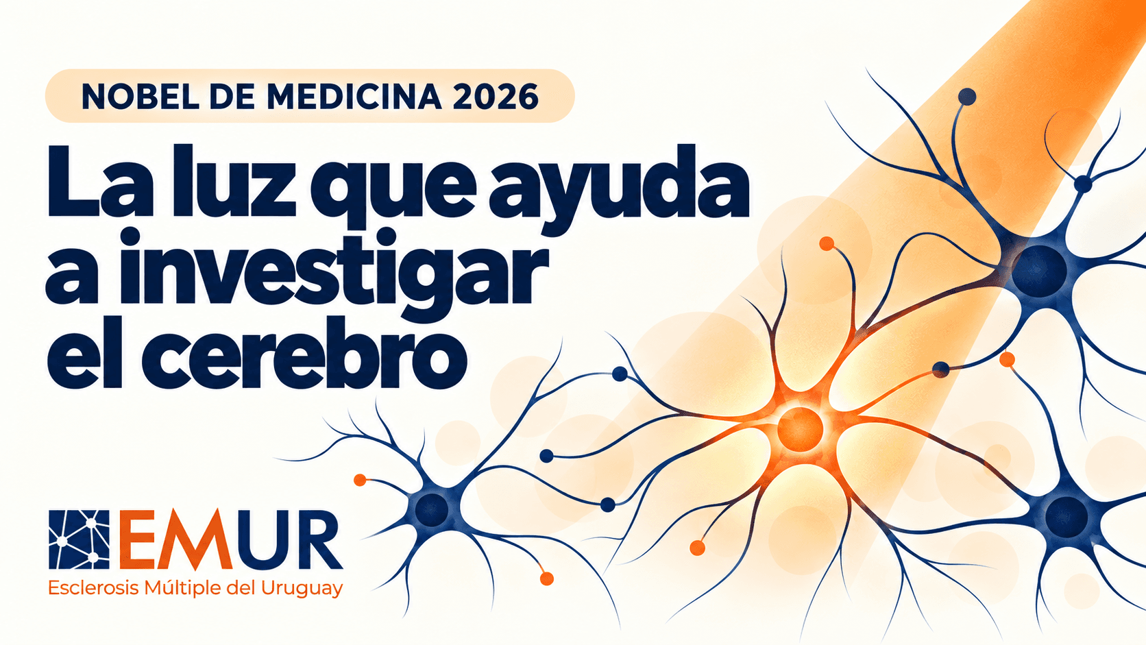 Ilustración conceptual sobre investigación biomédica, cerebro y Esclerosis Múltiple, vinculada al Premio Nobel de Medicina 2026.